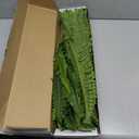 35" Ferns Artificial Bush Plants Large, 2 Artificial Boston Ferns with 39 Fronds for Outdoors Home Decor