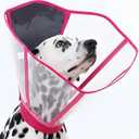 Extra Deep & Coverage Dog Cone Collar for Dogs to Stop Licking, Soft Transparent E Collar for Large Dogs After Surgery, Comfy Recovery Cones with Padding, Foldable & Easy-Clean Pet Cone(Blue-Green, L)