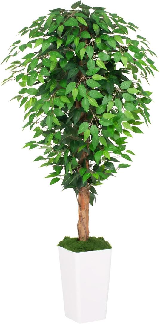 5ft Ficus Artificial Tree with 3 Natural Curved Trunks, 60" Tall Lush Faux Tree for Home Decor Indoor, Green Lifelike Fake Ficus Tree with White Planter Pot