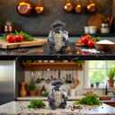 Decorative Turtle Salt & Pepper Shakers Set with Glass Jars