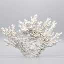 White Resin Coral Ornament Mediterranean Style Coral Decorative Resin Statue (Length 12.6 inches)