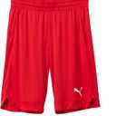Puma Mens Rtg Shiny Fabric 10" Shorts L
