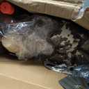 Army Costume For Kids, Military Soldier Costumes For Boys, Halloween Costumes Dress Up Role Play Set (X-Large(11-12yr))