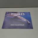 Whale Calendar 2026 Monthly Wall Calender 12 Month | American Made In The USA