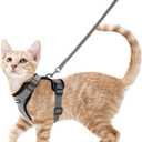 rabbitgoo Cat Harness and Leash for Walking, Escape Proof Soft Adjustable Vest Harnesses for Cats, Easy Control Breathable Reflective Strips Jacket, Grey, S