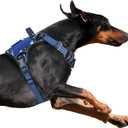 BUMBIN Tactical Dog Harness for Large Dogs No Pull, Famous TIK Tok No Pull Puppy Harness, Fit Smart Reflective Pet Walking Harness for Training, Adjustable Dog Vest Harness with Handle Blue Camo, Large (Neck: 19-25", Chest: 21-35")