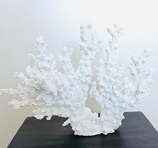 Beautiful White Coral Branch Decor: Add a touch of the ocean to your home or aquarium with this stunning white coral branch. Made of high-quality