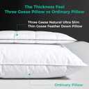 Three Geese Ultra Thin Flat Goose Down Feather Pillows for Sleeping Standard Size, 2.5" Height, 100% Cotton Cover, Ultra Slim Hotel Collection Bed Pillow for Stomach, Back Sleeper, 18 x 26 Inches