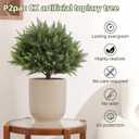 LUWENER 23.6Inch Artificial Cedar Topiary, 2 Pack UV Resistant Faux Evergreen Shrubs with Ground Spikes, Indoor Outdoor Potted Plants for Porch, Garden, Front Door Decor
