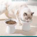 vancasso Elevated Cat Bowls 2-Pack, Ceramic Raised Cat Food and Water Dishes with 5.1" Height & 6.2" Wide Opening - Anti Vomit, Whisker Fatigue Relief for Senior Cats, and Small Dogs (White)