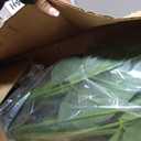 Nearly Natural 3ft. Anthurium Silk Plant (Real Touch), Red