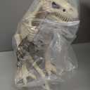 15.5" Animated T-Rex Skeleton Halloween Decoration with Light & Sound