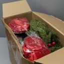 12 Pcs Small Christmas Norfolk Wreaths 15 Inch Christmas Kitchen Cabinet Mini Wreath Real Touch with Bow Ribbon Cedar Red Berry for Xmas Front Door Window Chair Fireplace Table Pillar Farmhouse Decor