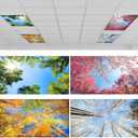 ROCEEI Pack of 4 Fluorescent Light Covers for Ceiling Lights, 4 x 2 Ft, Magnetic Light Covers for Classroom Office Home School Ceiling Decor(Season)