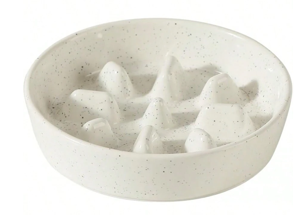 Ceramic 1.2 Cup Raised Slow Feeder Dog Bowl Set, Elevated 6.1inch Bowl