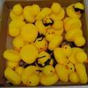 Hoemwarm 24 Set Mini Rubber Ducks with Sunglasses, Tiny Bath Rubber Ducks Bulk for Car Dashboard Decorations Cruise Birthday Party Favors (Yellow)