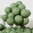 AULE Latex Sage Green Balloons 50 Pcs 12 inch Helium Balloons Happy Birthday Graduation Baby Shower Party Decorations