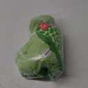 Aurora Cuddly Turtle Stuffed Animal - Cozy Comfort - Endless Snuggles - Green 14 Inches