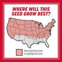 Pennington The Rebels Tall Fescue Grass Seed Mix 7 lb