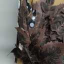 Hananona 8 Pcs Artificial Cimicifuga Leaf Spray, 23 in Faux Burgundy Fall Greenery Branch with Long Stems for Vase, Farmhouse Thanksgiving Autumn Centerpiece Halloween Decor (8, Chocolate, 23 in)