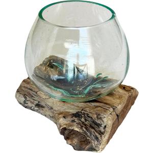 Small Hand-Blown Melted Glass Fish Bowl Vase Terrarium on Driftwood Base  Decorative Centerpiece Full or Empty