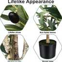 6FT Olive Tree Artificial Indoor - Tall Faux Olive Tree with Wood Trunk and Lifelike Fruits - Fake Plants in Pot for Home Office Living Room Decor