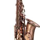 GLORY High Grade Antique Finish Series PR1, E Flat Alto Saxophone with 11reeds,8 Pads Cushions,case,carekit