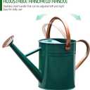 Metal Watering Can for Outdoor and Indoor Plants, Watering Can Decor, 1 Gallon (NewGreen)
