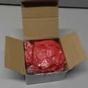 60 Pieces Grand Opening Balloons 12 Inch Double Side Celebrate Business Latex Balloons with 3 Pieces White Ribbons for Ceremony Decoration