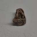 Anxingo Reptile Rock Reptile Cave Hideout for Snakes/Geckos/Lizards/Turtles and Other Amphibians, with Dinosaur Skull (Small)