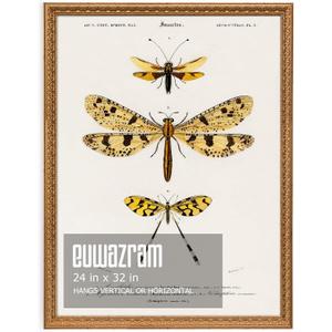 Ornate Classic Gold 24x32 Picture Frame with Raised Leaf Border, 24 x 32 in