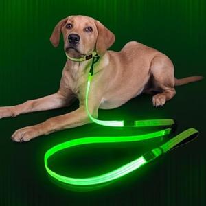 Dlitk Light Up Dog Leash, LED Leashes Rechargeable, Nylon Reflective Lead with Padded Handle for Night Walking, Safety Glow Lights for Large Medium Small Dogs(Green,(4 Ft+2 Ft))
