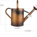 1 Gallon Metal Watering Can for Outdoor Garden, Plant & Flower Watering Pot for Gardening Bonsai Water Bucket with Sprinkler Head