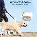 Dog Collar with Quick Release Buckle for Small Medium Large Dog (S(12-17" Neck, 2.25mm))