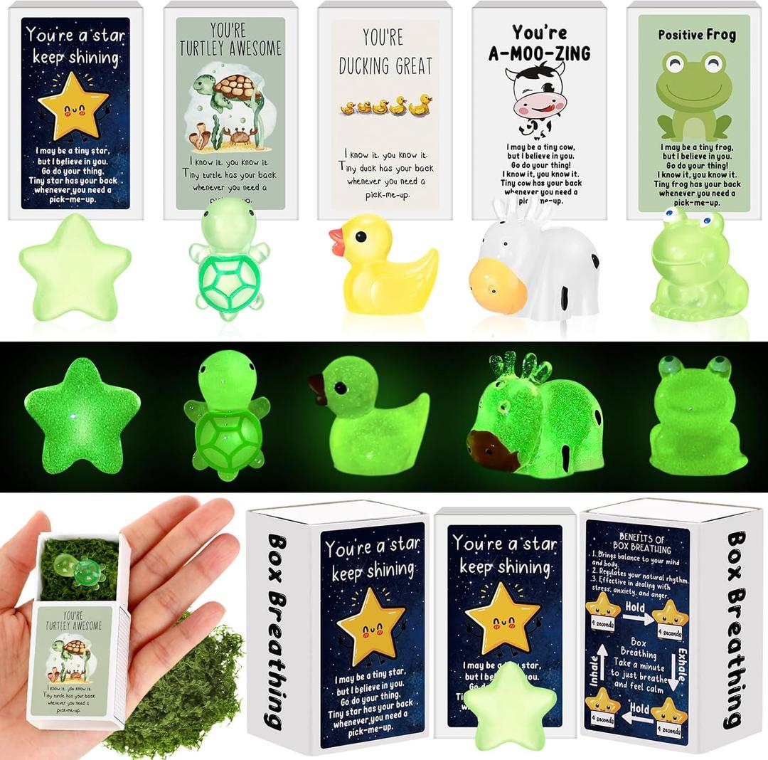 Cinnvoice 25 Set Emotional Mental Health Care Support Gift Bulk for Coworker Affirmation Mini Luminous Resin Appreciation Gift Box Breathing Gifts for Team Xmas Teacher, Turtle Duck Cow Star