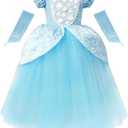 CQDY Cinderella Dress Princess Costume Halloween Party Dress up Blue
 (8-9 Years, Cinderella)