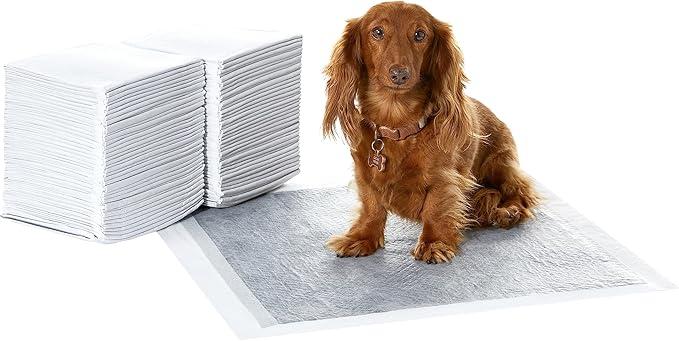 Basics Carbon Odor Control Dog and Puppy Pee Pads, 5Layer LeakProof Super Absorbent, QuickDry Surface for Potty Training, Regular Size 22"x22", Gray, 120 Count