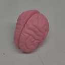 Cross Section Foam Brain Model, Great Educational Tool for Learning & Teaching Human Anatomical Function, Psychology, Biology or Science, Easy to Use & Includes 2 Half Pieces Labeled with Figures