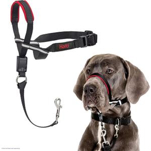 HALTI Optifit Headcollar - To Stop Your Dog Pulling on the Leash. Adjustable, Reflective and Lightweight, with Padded Nose Band. Dog Training Anti-Pull Collar for Large Dogs (Size Large)