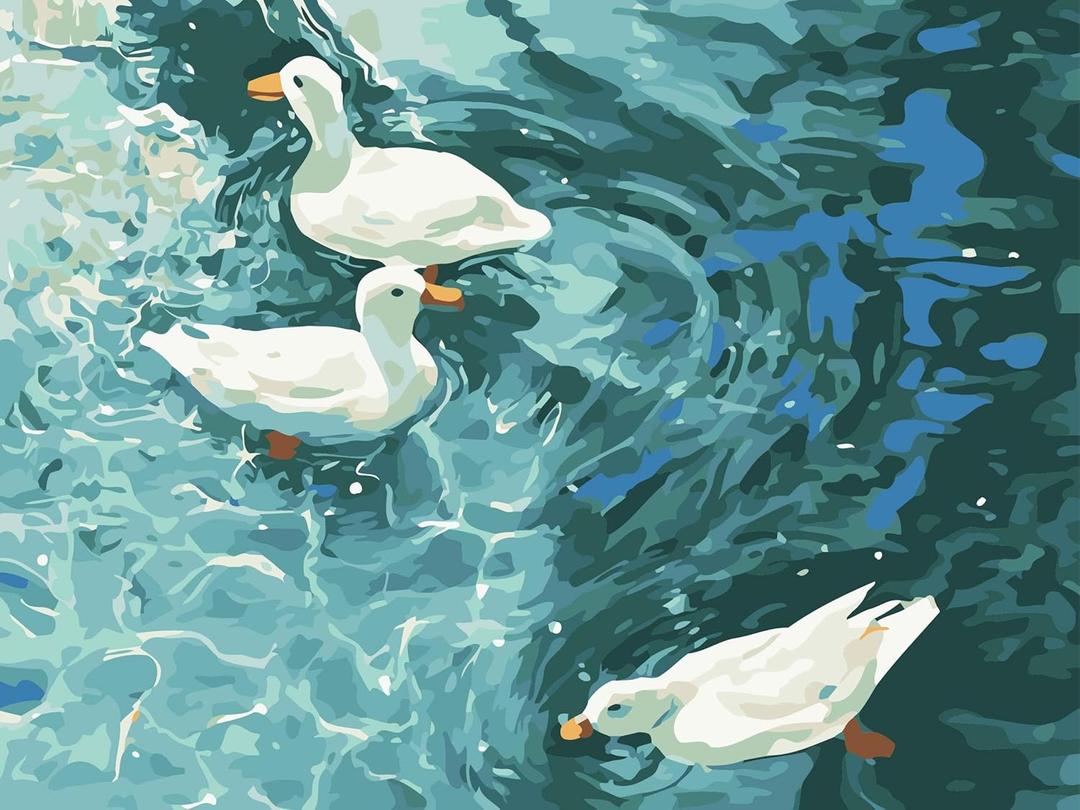 2 x ZRIZQ Paint by Number for Adults Beginners,12" Wx16 L Canvas for Painting Kits for Adults in Colorful Box,Paint by Numbers for Home Wall Art Decor-Summer Duck