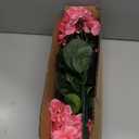 Artificial Geranium Fake Flowers for Outdoors Decoration, 6 Bundles Silk Geraniums Pink Flower UV Resistant Look Real Faux Plants for Outside Planter Front Door Garden Porch Patio Balcony Yard Home