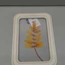 12.8in Clear Wall Sign Leaf Yellow
