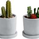 MyGift Set of 2 Mini 4-Inch Gray Cement Succulent Planters  Modern Unglazed Concrete Plant Pots with Removable Saucers
