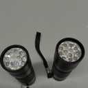 Black Light UV Light Flashlight: Vansky 395nm 12 LED 2 Pack Ultraviolet Blacklight Flashlight Mini Powerful Pet Urine Detector for Dog/Cat, Carpet Dry Stains Detection, Spot Scorpions, Resin Curing