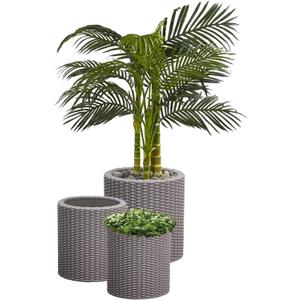 Keter Cylinder Set of 3 Rattan Resin Planter for Indoor and Outdoor Plants Ideal Decorative Planter for Porches and Patio Decor, Taupe, Medium