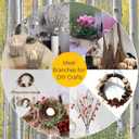 17 Inch Natural Birch Branches Dried Birch Twigs Wreath Making Supplies Dried Plants for Rustic Home Decor Easter Stems Vase Filler DIY Crafts Vases Tall Wreath Christmas Decoration Wedding (30Pcs)