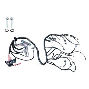 Standalone Wire Harness Compatible with LS Swaps Engine DBC 4.8 5.3 6.0 1997-2006 LS1-4L60E Drive by Cable LS1-4L60E 60A Relay EV1 Fuel Injector Connector