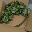 HyeFlora 5PCS Artificial Eucalyptus Leaves Stem Plants for Spring Decor, 32.7 inch Fake Leaves Greenery Branches Green Shrubs Silk Faux Foliage DIY Stems for Festival Home Kitchen Farmhouse(Green)