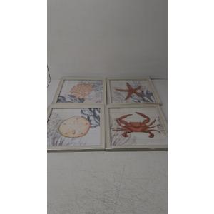 Ava Barrett Framed Coastal 16" x 16" Coral Prints, 4-pc Wall Art Set, Multicolor
