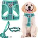 PUPTECK Adjustable Dog Harness Collar and Leash Set Step in No Pull Pet Harness for Small Medium Dogs Puppy and Cats Outdoor Walking Running, Soft Mesh Padded Reflective Vest Harnesses, Lake Green S